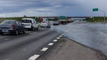 La Sociedad Rural de San Pedro emitió un duro comunicado denunciando la “desidia y ausencia del Estado” La Sociedad Rural de San Pedro emitió un duro comunicado denunciando la “desidia y ausencia del Estado”