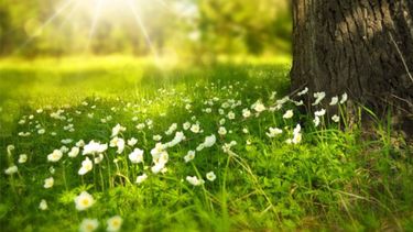 La primavera astronómica llegará el próximo 22 de septiembre a las 15:19, cuando se produzca en Argentina el equinoccio de 2025 La primavera astronómica llegará el próximo 22 de septiembre a las 15:19, cuando se produzca en Argentina el equinoccio de 2025