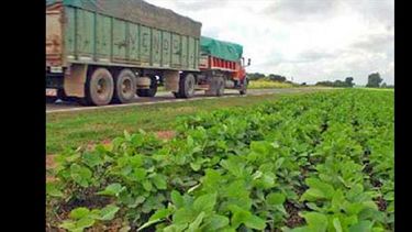 Importantes recursos genera el trabajo agrario en las banquinas del Partido. (GOBIERNO DE PERGAMINO)