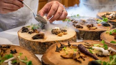 La gastronomía científica no solo es un enfoque fascinante para entender la cocina, sino que también abre un mundo de posibilidades creativas e innovadoras en la gastronomía moderna. La gastronomía científica no solo es un enfoque fascinante para entender la cocina, sino que también abre un mundo de posibilidades creativas e innovadoras en la gastronomía moderna.
