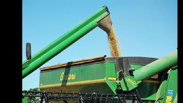 Las perspectivas colocan al campo como el único capaz de lograr un escenario favorable para el país.  (ARCHIVO LA OPINION)