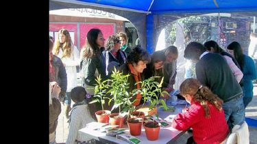Buena respuesta de la comunidad en las jornadas realizadas en Peatonal. (LA OPINION)