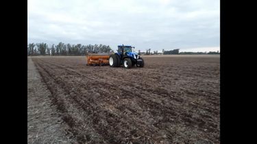 Con los milímetros de ayer se puede volver a la siembra de maíz. Con los milímetros de ayer se puede volver a la siembra de maíz.