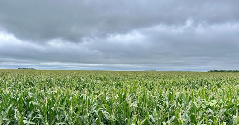 Según los datos de la Bolsa de Comercio de Rosario, las precipitaciones más importantes se registraron en María Teresa (87 mm), Rufino (75 mm) y Chovet (64 mm), todas localidades del sur de Santa Fe.