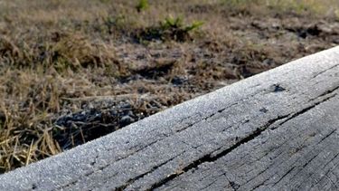 La sensación térmica, en la mañana de este lunes, fue de -5 grados. La sensación térmica, en la mañana de este lunes, fue de -5 grados.