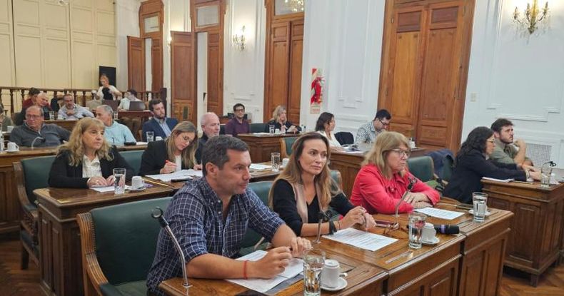 Durante la primera sesión ordinaria del 2025, ingresaron tres notas y diez expredientes por Presidencia, doce expedientes del Departamento Ejecutivo, diez proyectos de los concejales y tres despachos enviados por las comisiones internas.