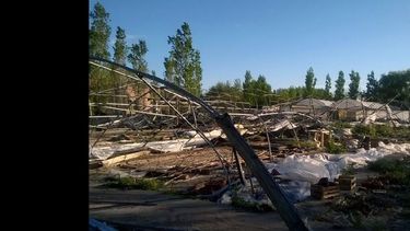 El vivero quedó totalmente destruido y desde hace días comenzó su reconstrucción. (LA OPINION)
