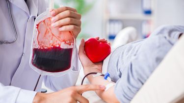 Cruz Roja. La importancia de la donación de sangre Cruz Roja. La importancia de la donación de sangre