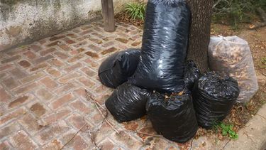 quedo establecido en pergamino el cronograma de recoleccion de voluminosos en abril quedo establecido en pergamino el cronograma de recoleccion de voluminosos en abril