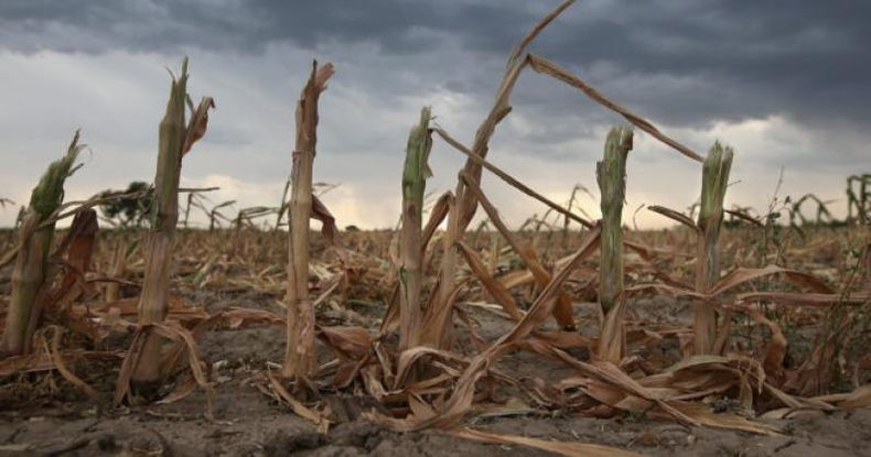 El Instituto Nacional de Tecnología Agropecuaria (INTA) advirtió sobre un probable regreso del fenómeno climático La Niña en la segunda mitad del año, tras el debilitamiento de El Niño.