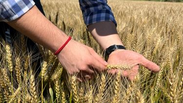 entre el alivio y el exceso: el agua volvio con fuerza y redefine la campana invernal entre el alivio y el exceso: el agua volvio con fuerza y redefine la campana invernal