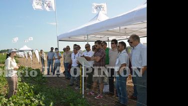 Roundup Ready Xtend y sistema de cultivo fueron los temas que se trataron en la parada 2. (LA OPINION)