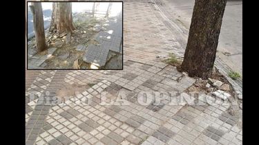 Las veredas rotas por raíces de árboles son la postal más recurrente del Centro.  (LA OPINION)