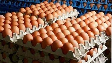 pergamino no escapa a los aumentos en el precio de los huevos pergamino no escapa a los aumentos en el precio de los huevos