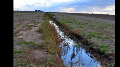 En muchos campos se construyeron canales de desagües sin las correspondientes habilitaciones. (INTERNET)
