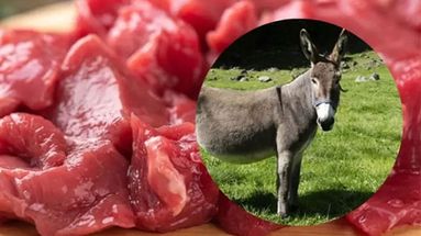 La carne de burro, una alternativa en discusión. La carne de burro, una alternativa en discusión.