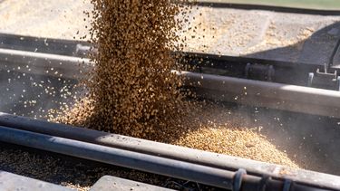 con retenciones cero, el alivio fiscal tambien llego al campo de manera transitoria con retenciones cero, el alivio fiscal tambien llego al campo de manera transitoria