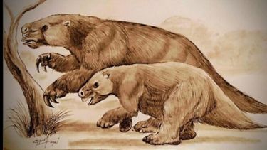 Recreación del Lestodonte. Recreación del Lestodonte.