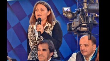 María del Huerto Ratto, durante su disertación en el Congreso. (FRENTE RENOVADOR)