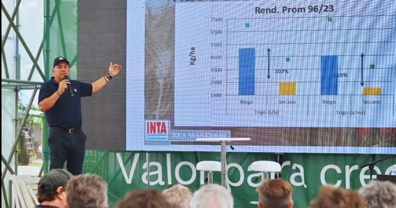 La gestión adecuada del agua no solo mejora el rendimiento de los cultivos, sino que también contribuye a la optimización de los recursos