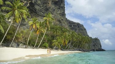 El destino elegido para esta salida es Samaná, una región de República Dominicana que combina playas, naturaleza y un perfil más calmo.