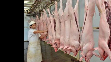 La producción porcina de Argentina creció un 73,2% de 2010 a 2015 generando 12.500 puestos de trabajo. (ARCHIVO LA OPINION)