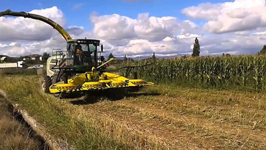 en cordoba, se realiza el congreso argentino de forrajes con dos jornadas claves en cordoba, se realiza el congreso argentino de forrajes con dos jornadas claves