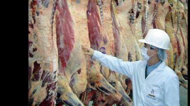 Argentina se ubica en el puesto 10 de los mayores exportadores de carne. (INTERNET)
