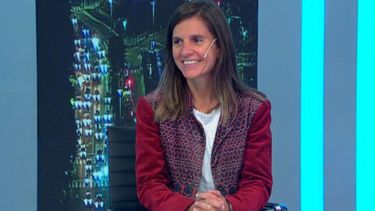 La titular de la Anses, Fernanda Raverta. La titular de la Anses, Fernanda Raverta.