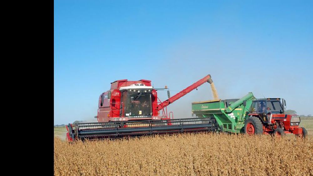La suma de costos y malezas impone un cambio drástico al sistema de alquileres.  (LA OPINION)