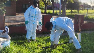 investigan un vuelo de avioneta en cercanias de la escuela de ayerza que genero preocupacion en la comunidad
