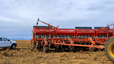 con retrasos e incertidumbre, avanza la siembra de trigo en la zona nucleo con retrasos e incertidumbre, avanza la siembra de trigo en la zona nucleo