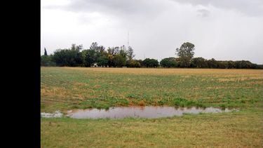 El domingo las precipitaciones de la porción central del país se extenderán e intensificarán.   (ARCHIVO LA OPINION)