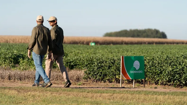 don mario semillas realizo un rally de lanzamientos de soja don mario semillas realizo un rally de lanzamientos de soja