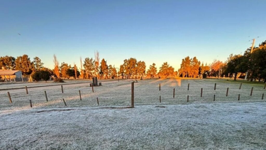 Heladas en la región Heladas en la región