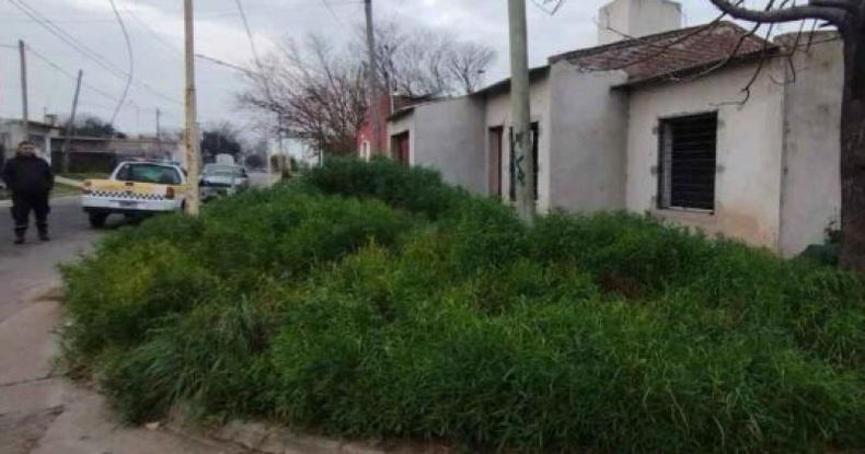 En cuanto a los terrenos baldíos que presentan malezas, el primer paso es identificar al propietario y emitir una intimación para que, en un plazo de 48 horas, realice la limpieza y desmalezamiento del inmueble.