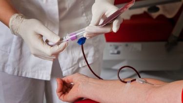 El Hospital San Felipe y el Sanatorio de la UOM refuerzan el llamado a donar sangre durante el verano, una etapa en la que las reservas suelen disminuir. El Hospital San Felipe y el Sanatorio de la UOM refuerzan el llamado a donar sangre durante el verano, una etapa en la que las reservas suelen disminuir.