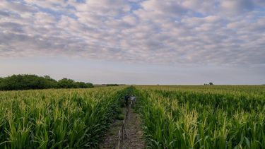 El recorrido del SupraRoad comenzará en Las Perdices, seguirá en Franck y finalizará en La Tordilla. El recorrido del SupraRoad comenzará en Las Perdices, seguirá en Franck y finalizará en La Tordilla.