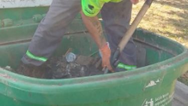 Un trabajador debió retirar los residuos del contenedor, manualmente y a pala para evitar la rotura del recipiente.&nbsp;