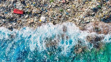 Desde el Programa de las Naciones Unidas para el Medio Ambiente (Pnuma) advierten que la naturaleza se encuentra en situación de emergencia.