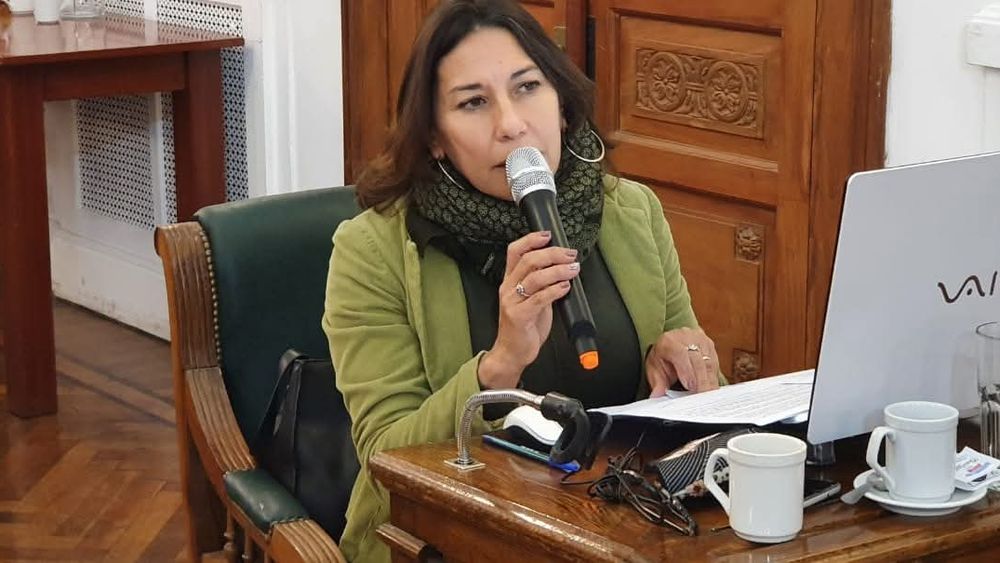 Silvia Viera cuestionó varias de las afirmaciones del jefe comunal, Javier Martínez.