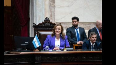 La presidenta de la Cámara de Diputados, Cecilia Moreau. La presidenta de la Cámara de Diputados, Cecilia Moreau.
