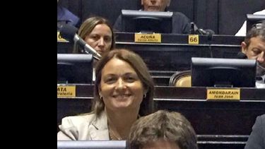 Ratto en su banca, el jueves durante el tratamiento del Presupuesto. (CAMARA DE DIPUTADOS)