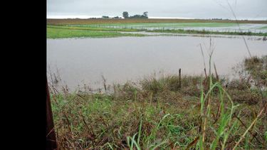Existen altas probabilidades de que regresen las lluvias durante el fin de semana.  (ARCHIVO LA OPINION)