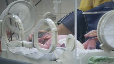 mas tristeza: fallecio la beba nacida tras la muerte de su madre mas tristeza: fallecio la beba nacida tras la muerte de su madre