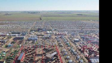 Sí hay un cierto consenso con respecto a que habría que esperar que pase el invierno, señaló al respecto la presidente de la muestra, Rosana Nardi. (AGROACTIVA)