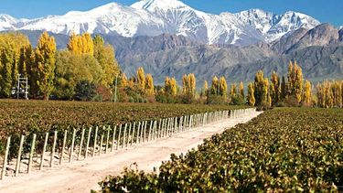 El año pasado, cuatro restaurantes obtuvieron una Estrella Michelin y más de quince fueron reconocidos con otras distinciones. El año pasado, cuatro restaurantes obtuvieron una Estrella Michelin y más de quince fueron reconocidos con otras distinciones.