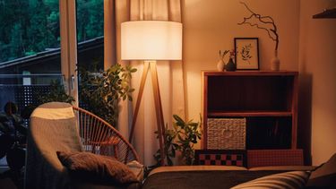 El cambio responde a una creciente necesidad de transformar los espacios del hogar en refugios de calma y bienestar, especialmente después de años en los que el teletrabajo y la permanencia prolongada en casa hicieron evidente la importancia de una iluminación adecuada. El cambio responde a una creciente necesidad de transformar los espacios del hogar en refugios de calma y bienestar, especialmente después de años en los que el teletrabajo y la permanencia prolongada en casa hicieron evidente la importancia de una iluminación adecuada.