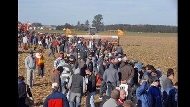 Las actividades dinámicas, uno de los mayores atractivos.  (AGROACTIVA)