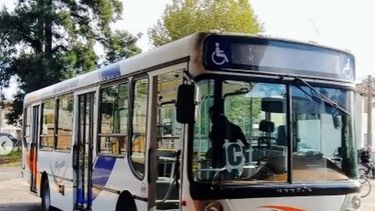 elecciones: transporte gratuito en pergamino para el domingo 7 de septiembre elecciones: transporte gratuito en pergamino para el domingo 7 de septiembre